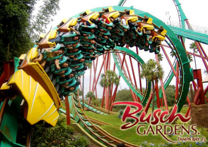 busch gardens