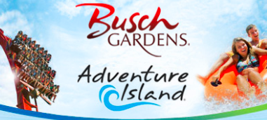 buschandadventure